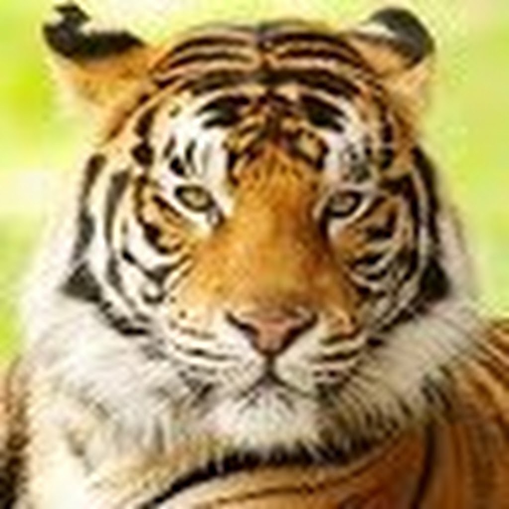 Avatar of Malathi S.