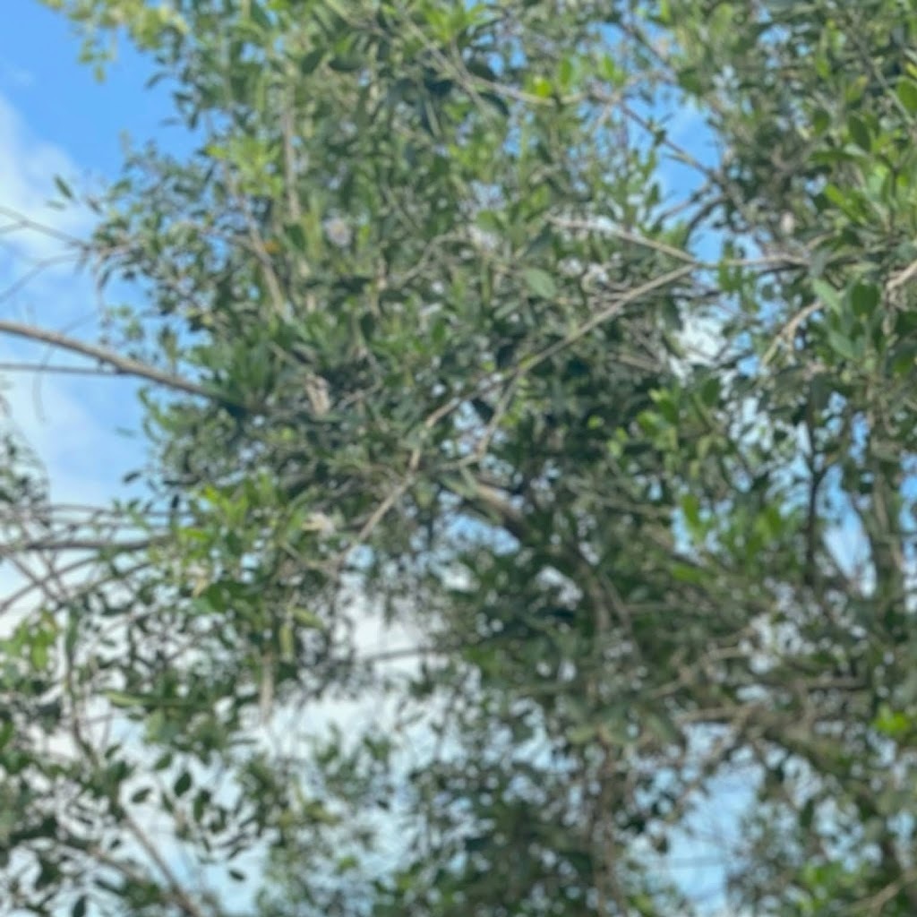 Avatar of Orukotan O.