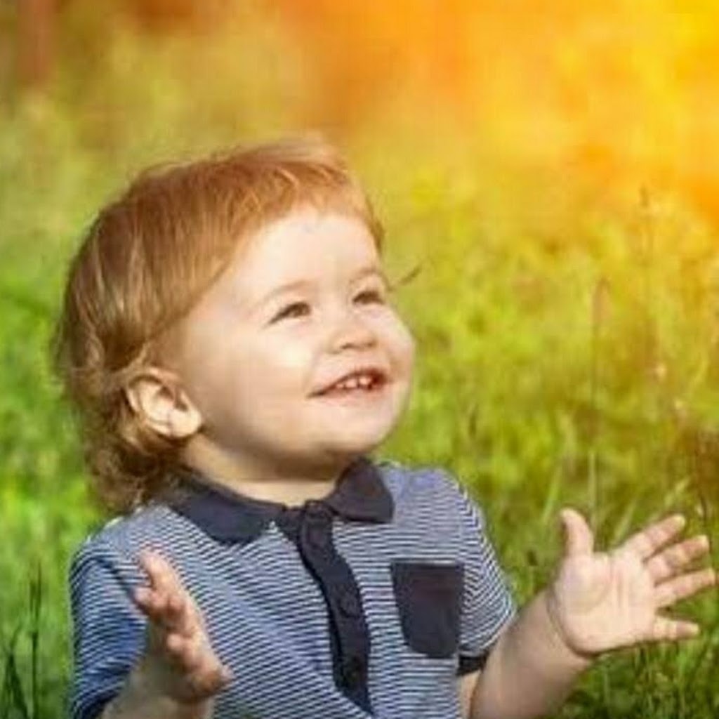 Avatar of Pradeep P.