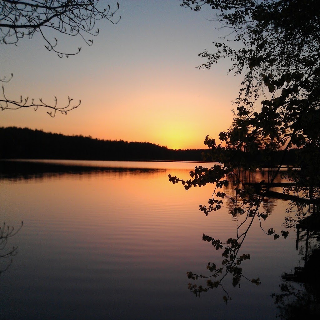 Avatar of masinde M.