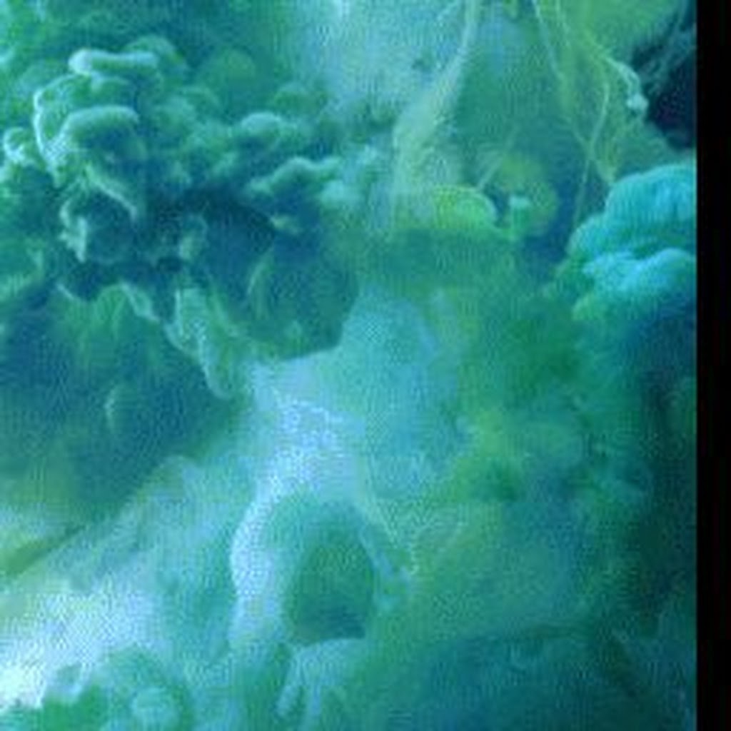 Avatar of ARULPRAKASAM S.