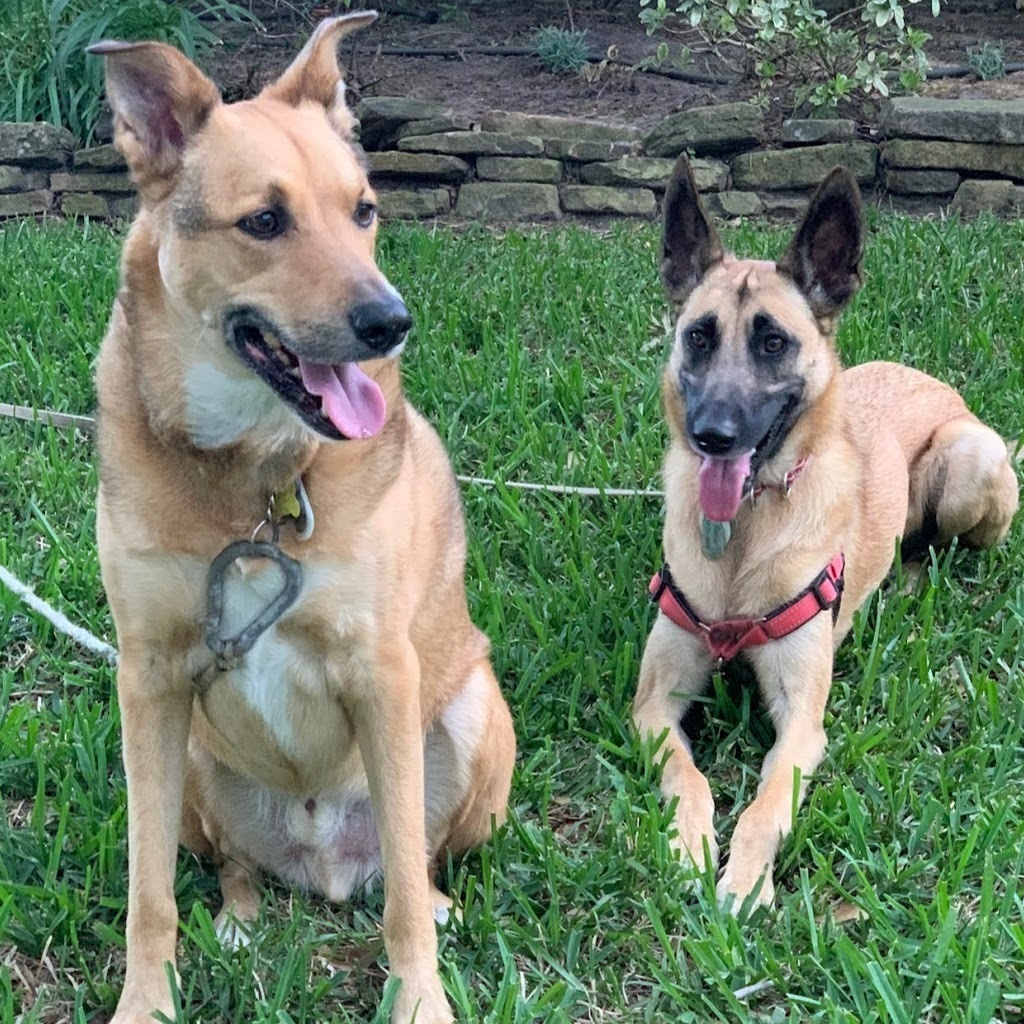 Avatar of Charles M.