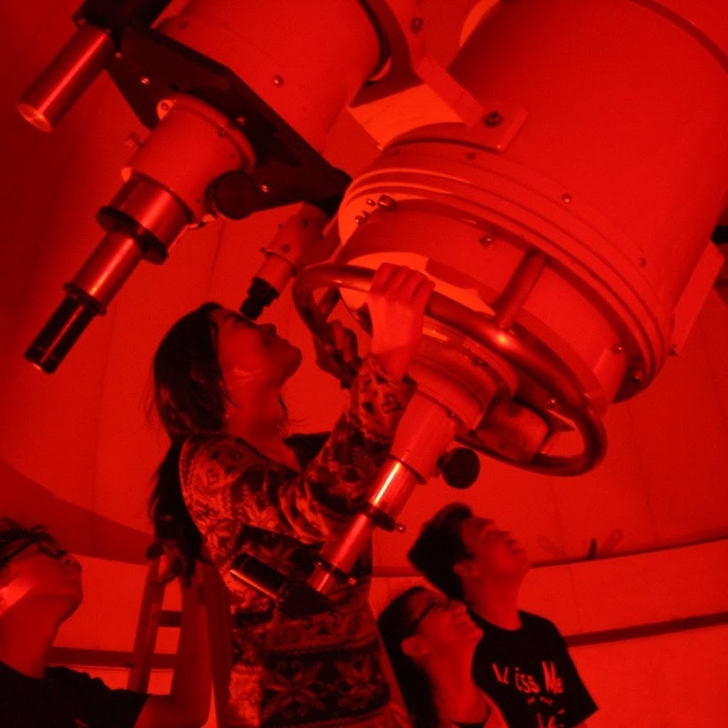 Avatar of Rheanne J.