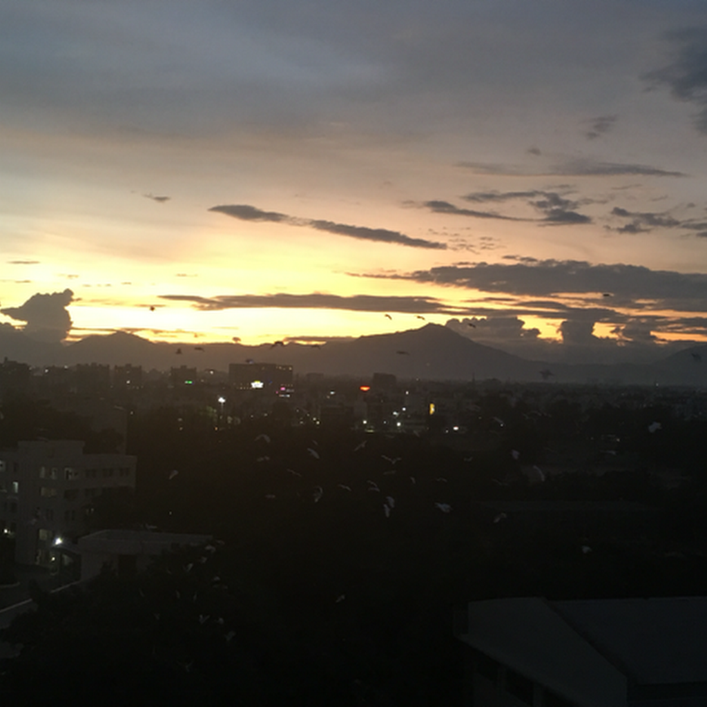 Avatar of Rishita G.