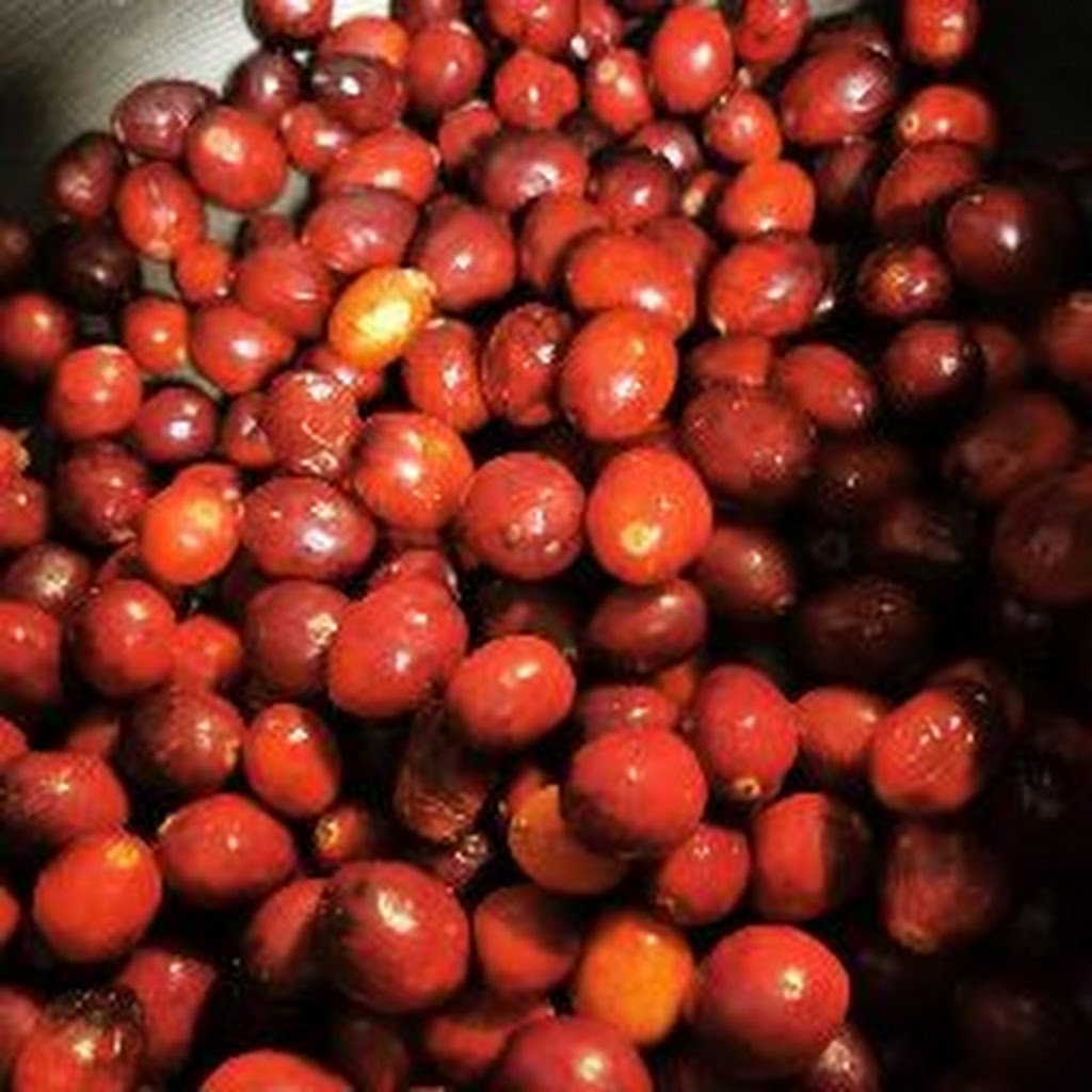 Avatar of PanamaDave