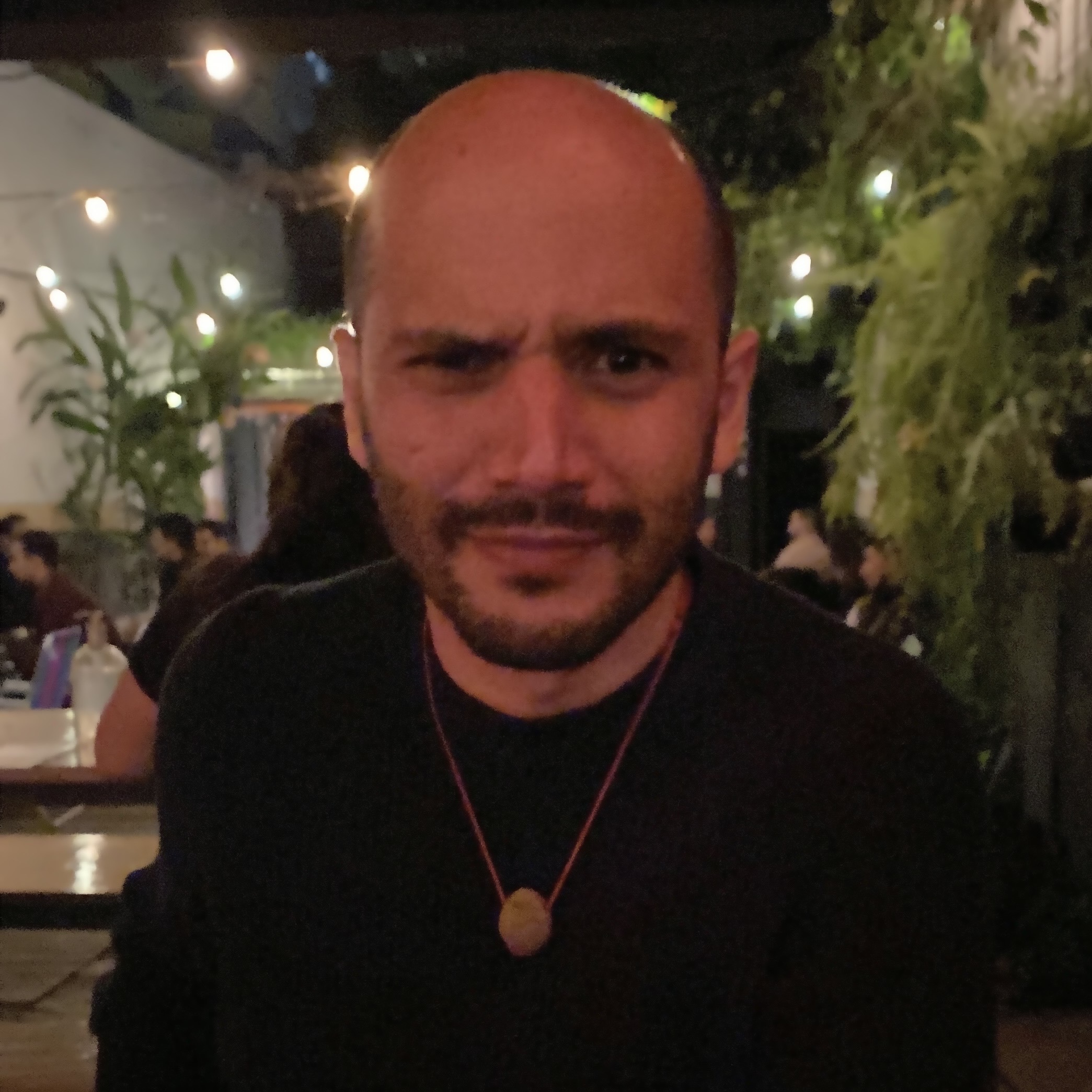 Avatar of Vinícius F.