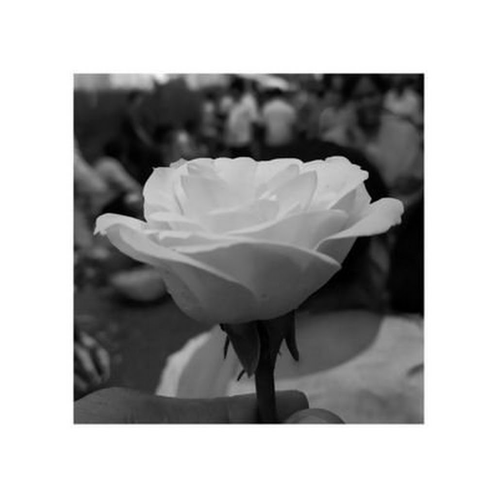 Avatar of Hasmukh C.