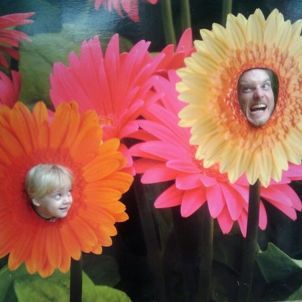 Avatar of matthew M.