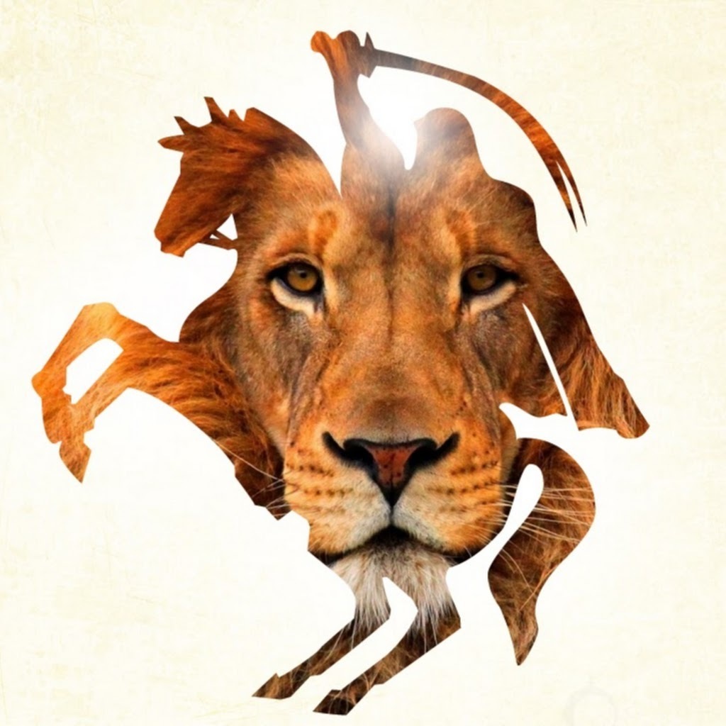 Avatar of Shakeel R.