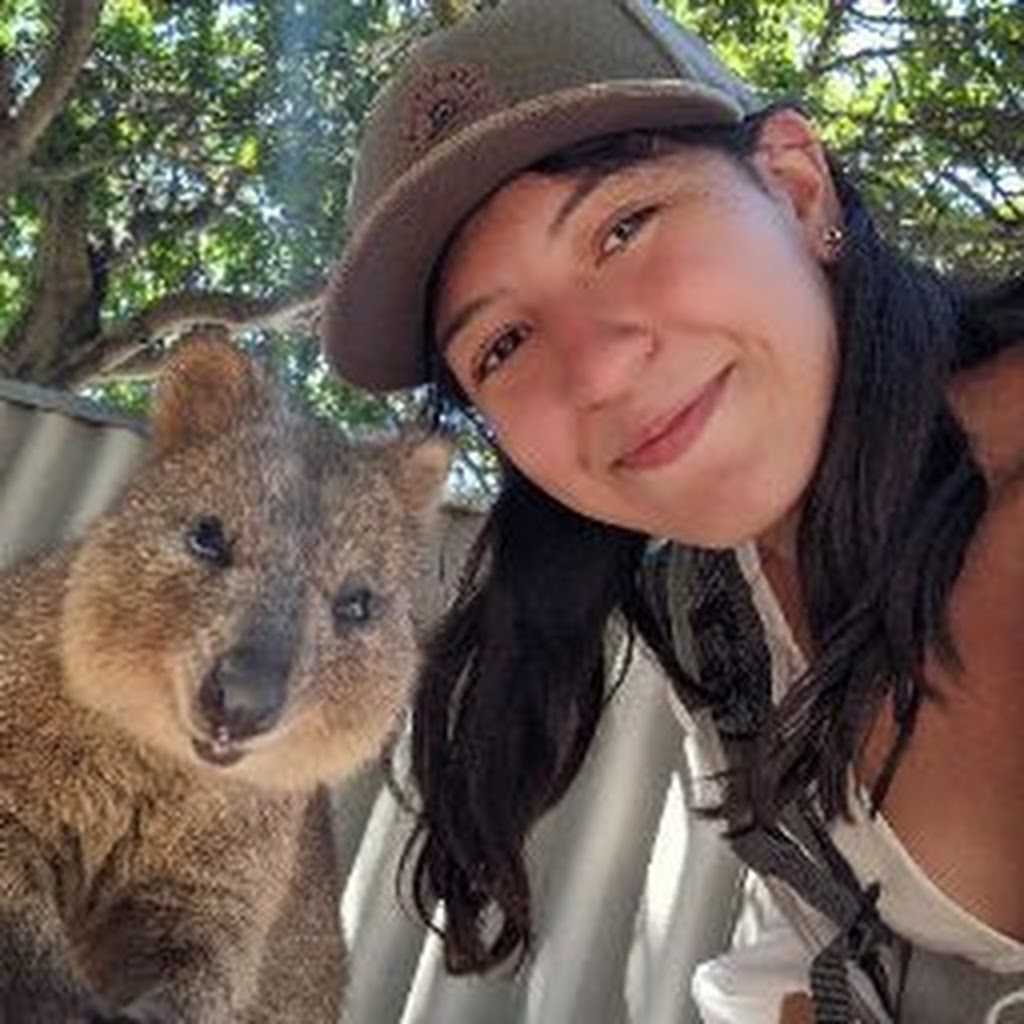 Avatar of Nooranah M.