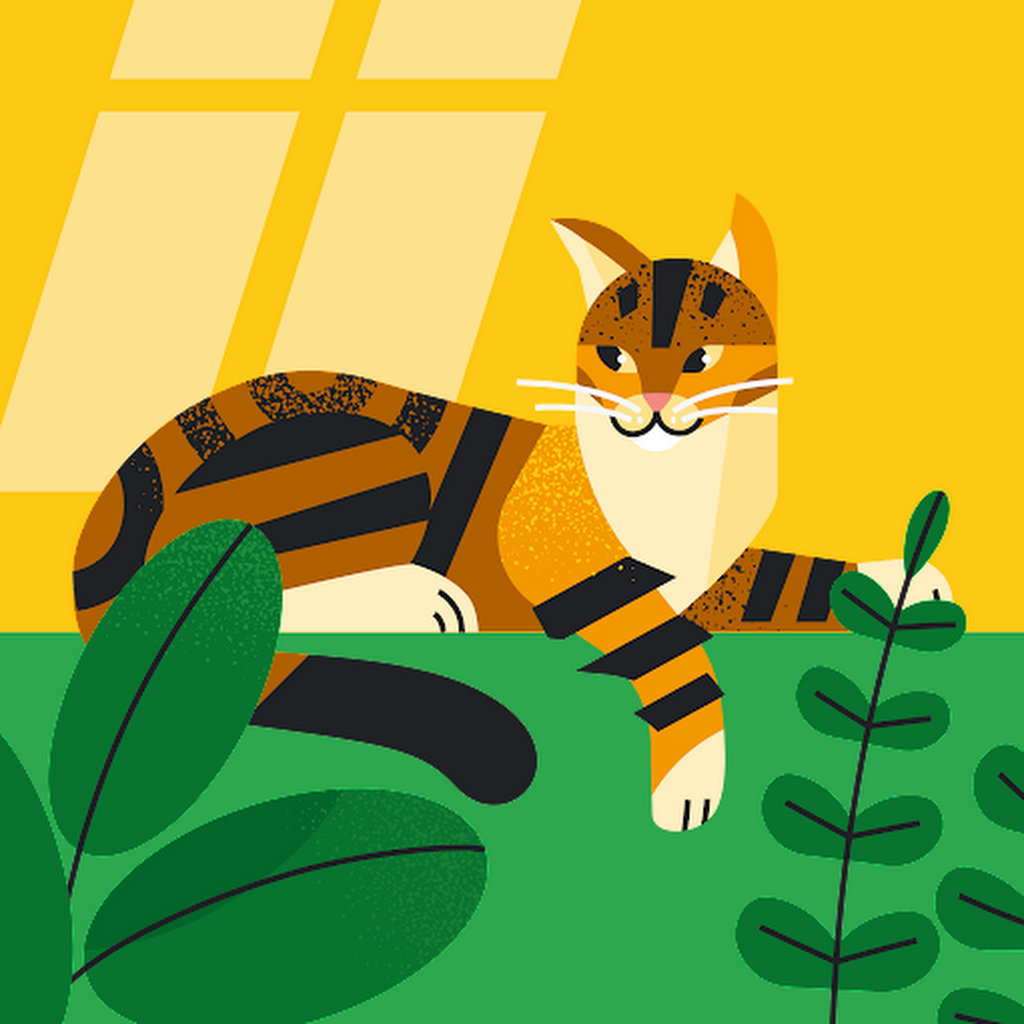 Avatar of Debarshi N.