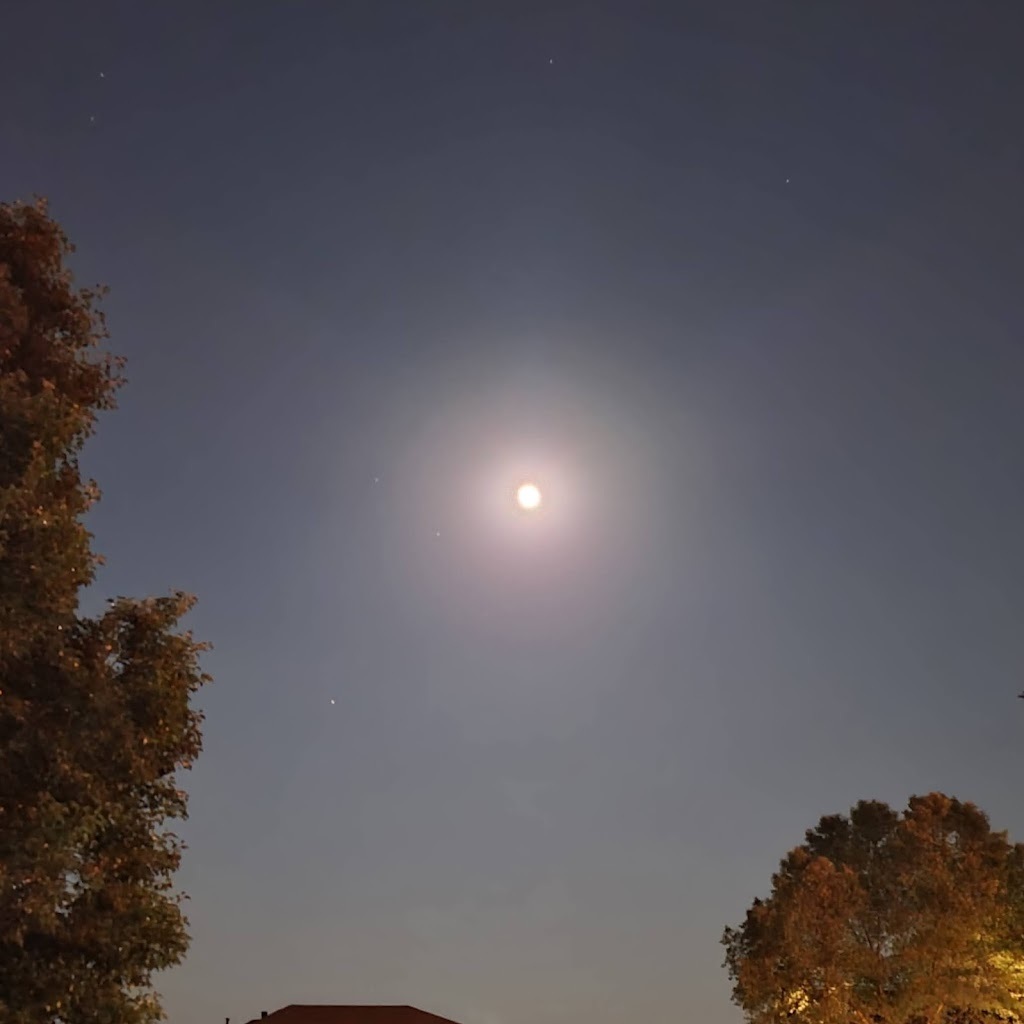 Avatar of Leonardo A.