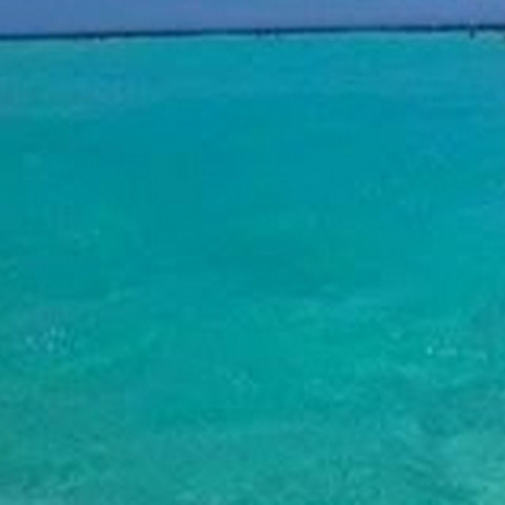 Avatar of vladimir d.