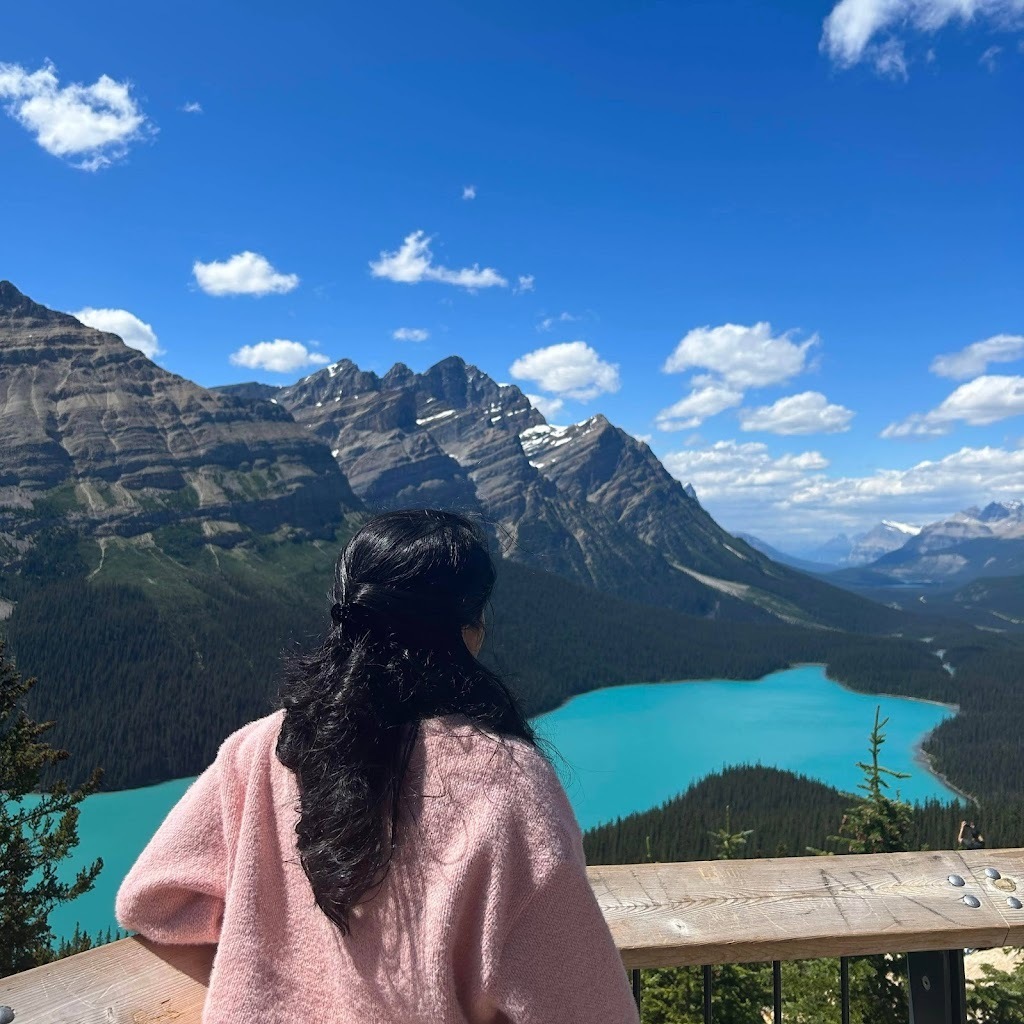 Avatar of Vandana Kala