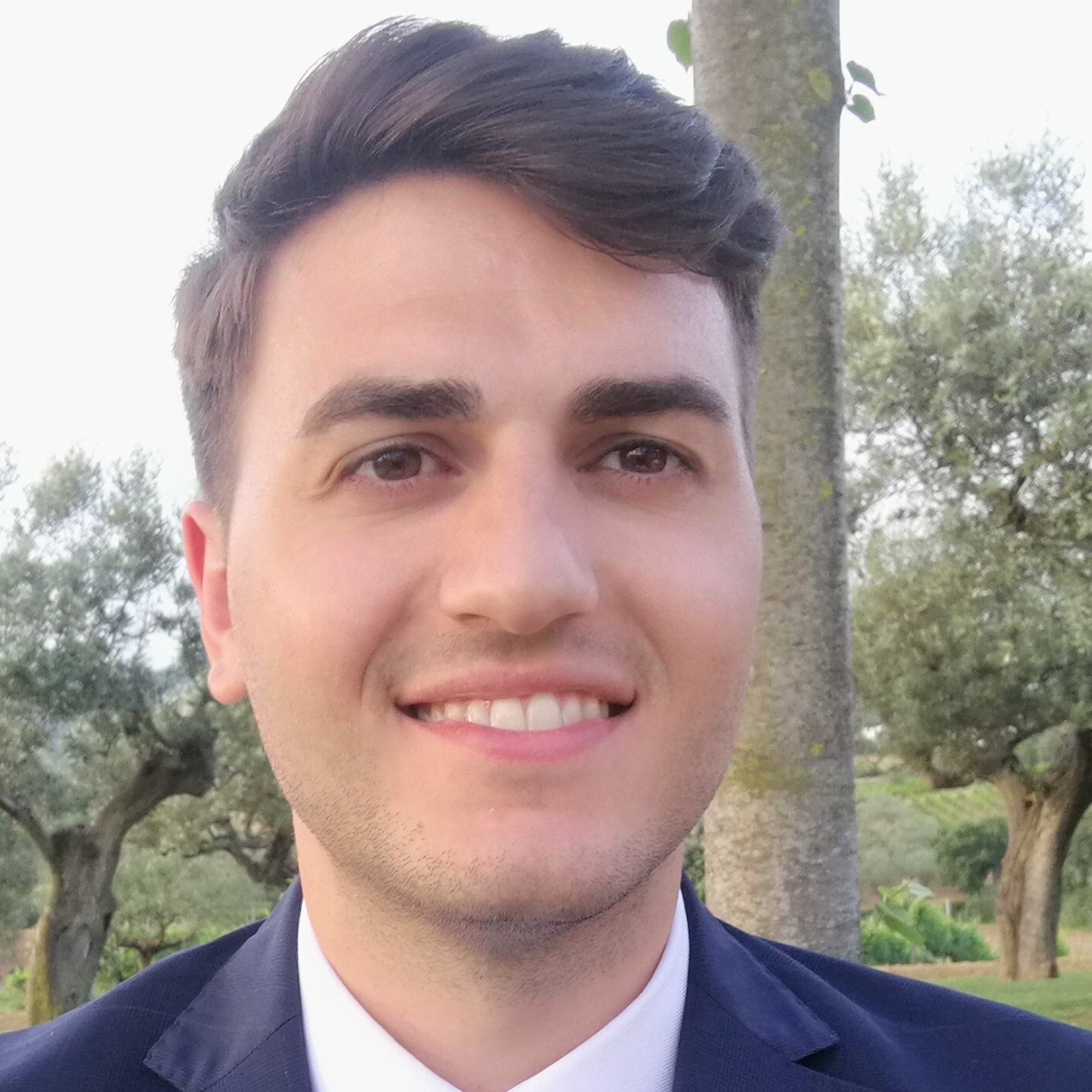 Avatar of Domenico C.