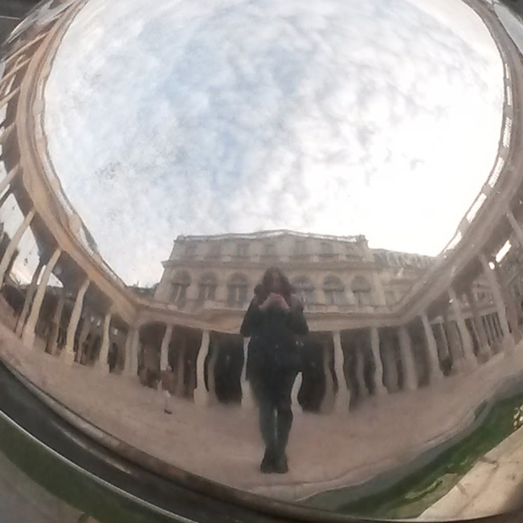 Avatar of Carolina M.