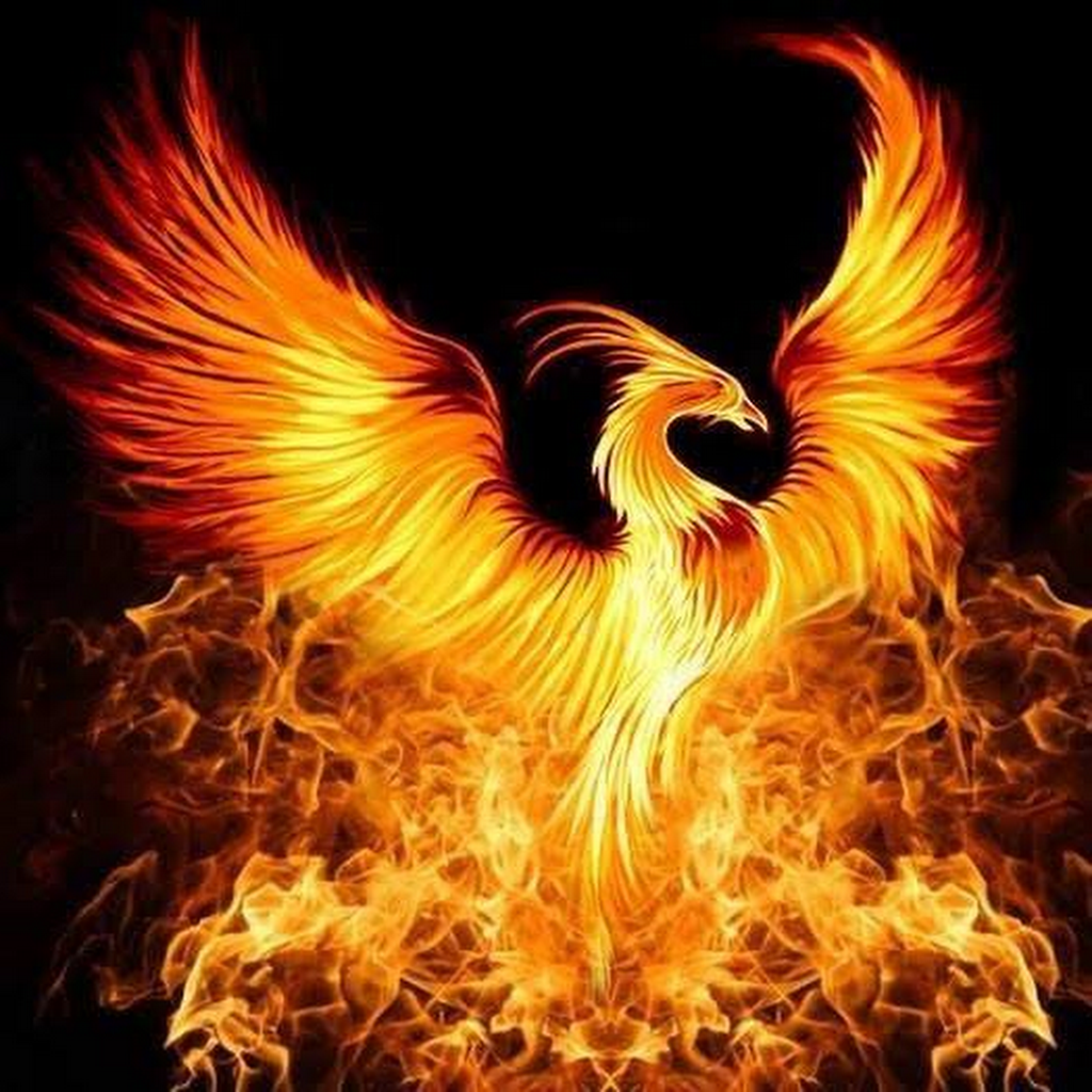 Avatar of Shobhan S.