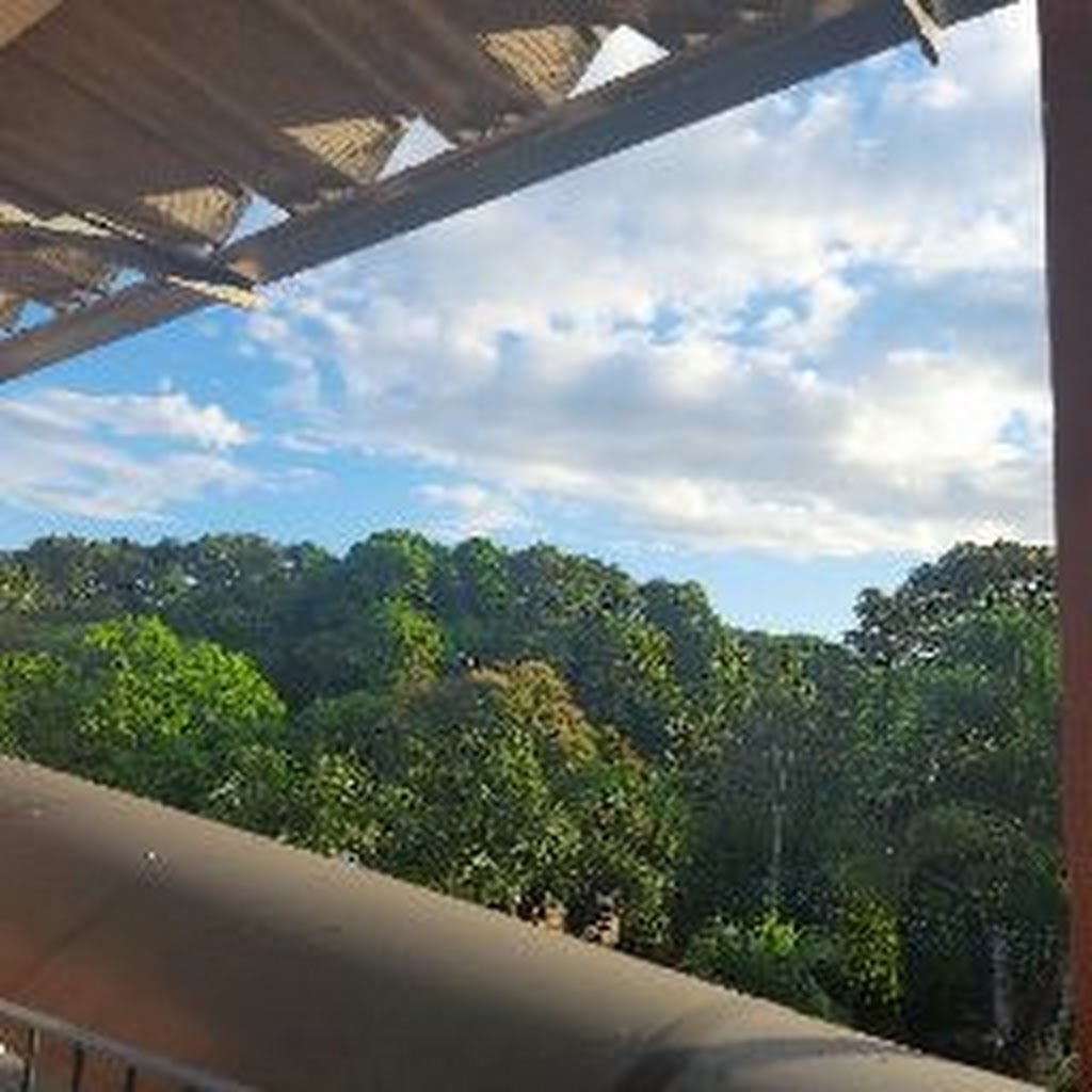 Avatar of Washington F.