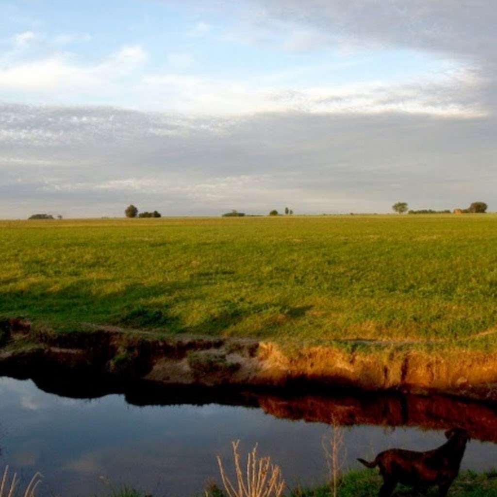 Avatar of Gonzalo E.