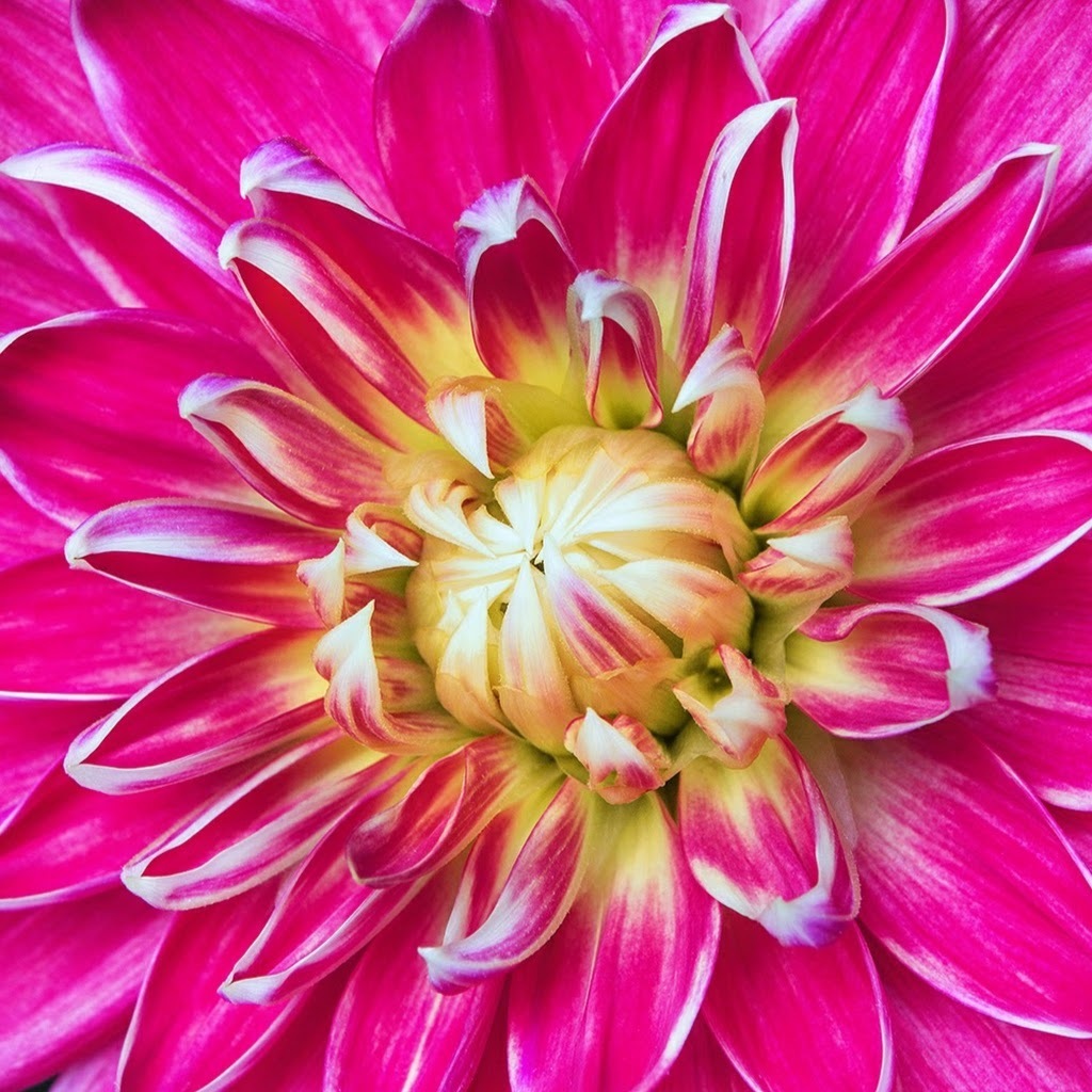 Avatar of 岡坂和征