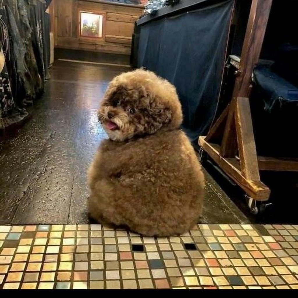 Avatar of Georgina B.