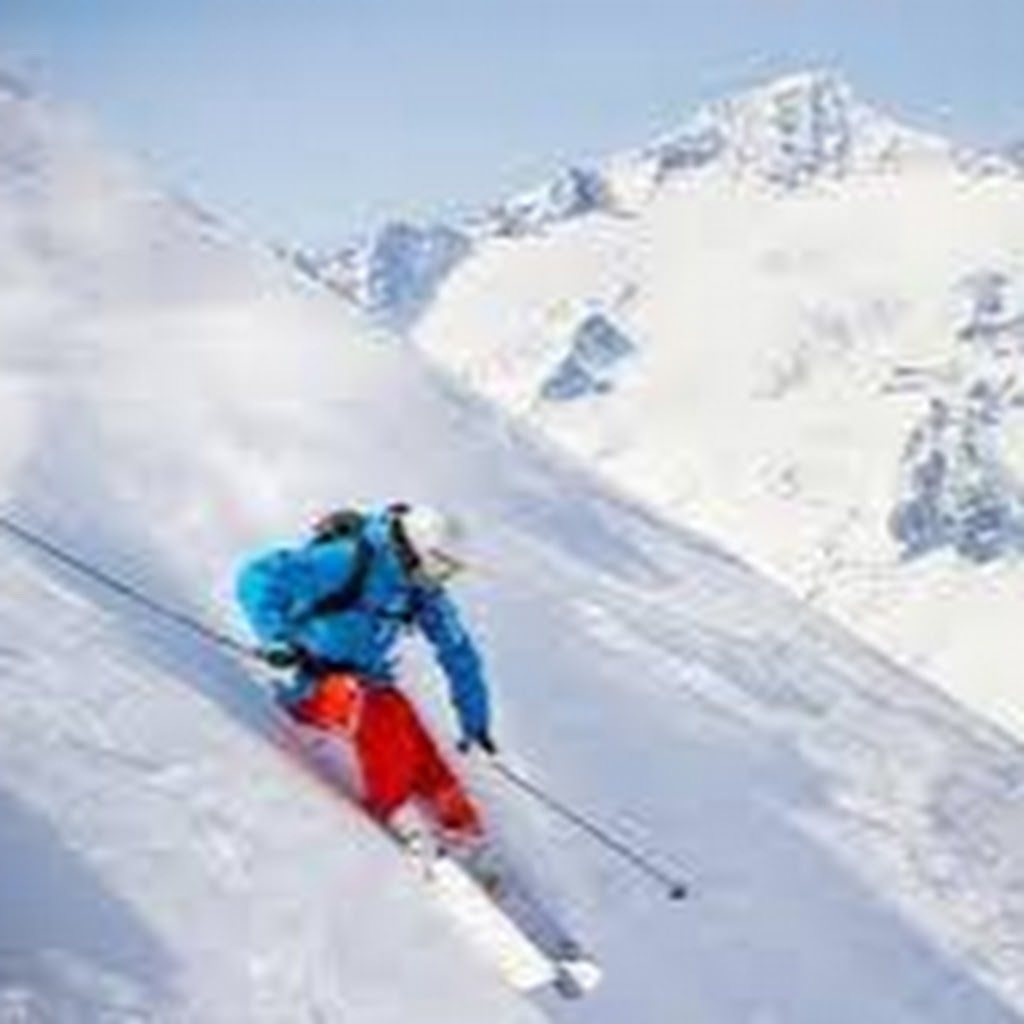 Avatar of Mohamed E.