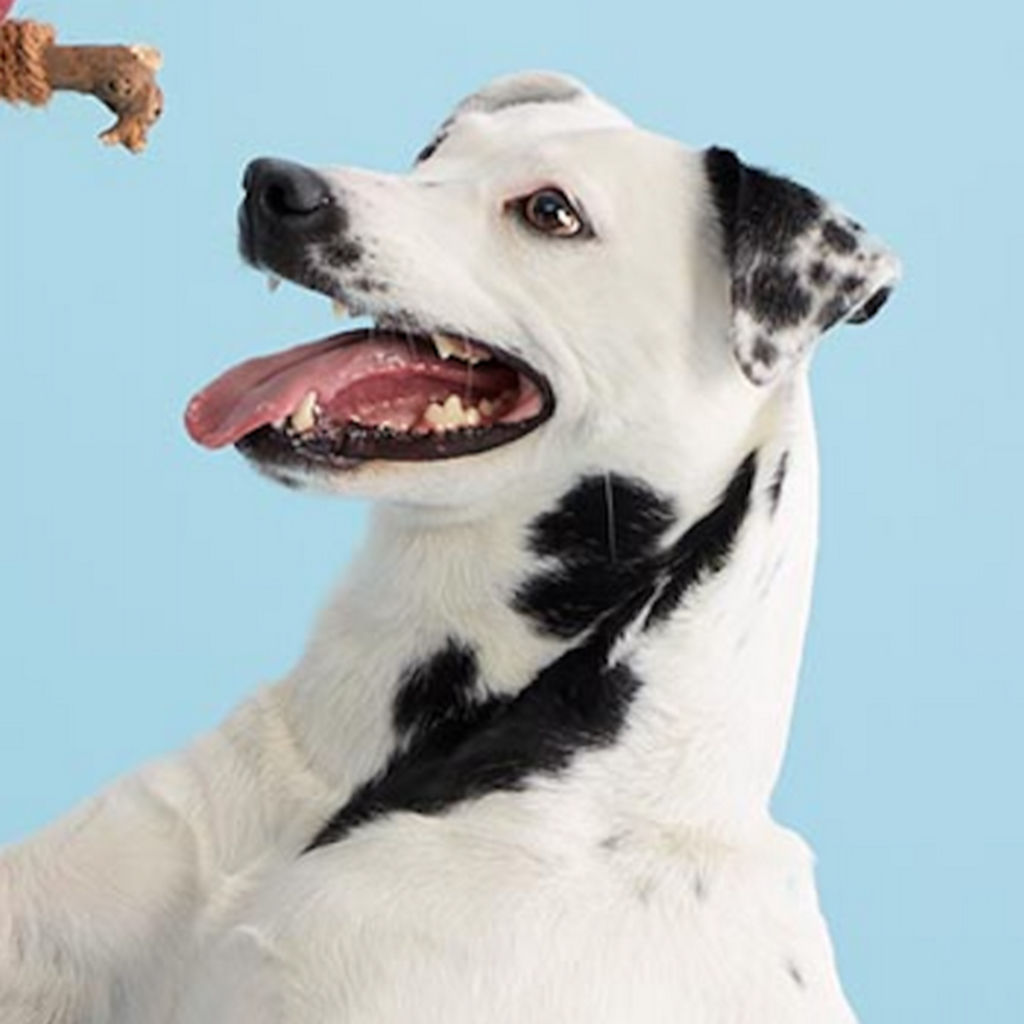 Avatar of Christina D.