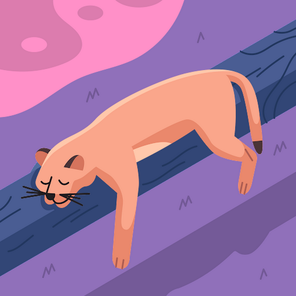 Avatar of 服部智大