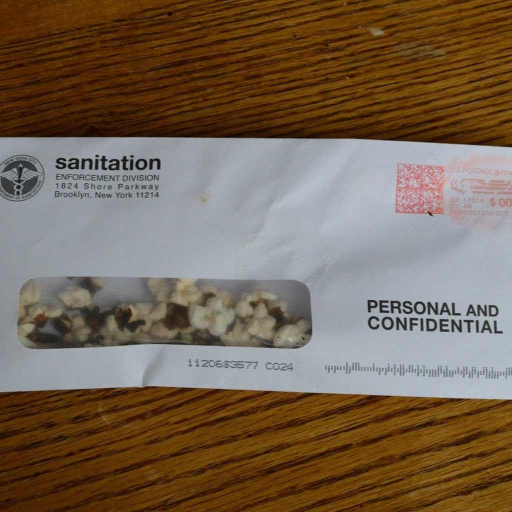 Avatar of Curatorial T.