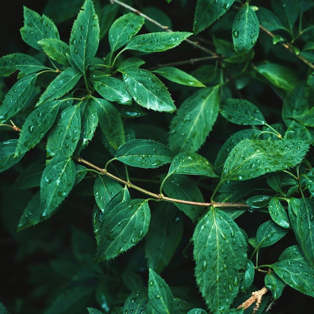 Avatar of Michele I.