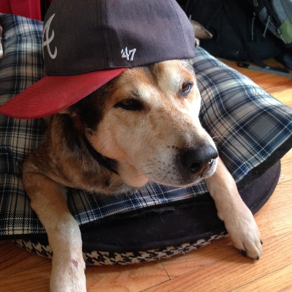 Avatar of Drennen Quinn