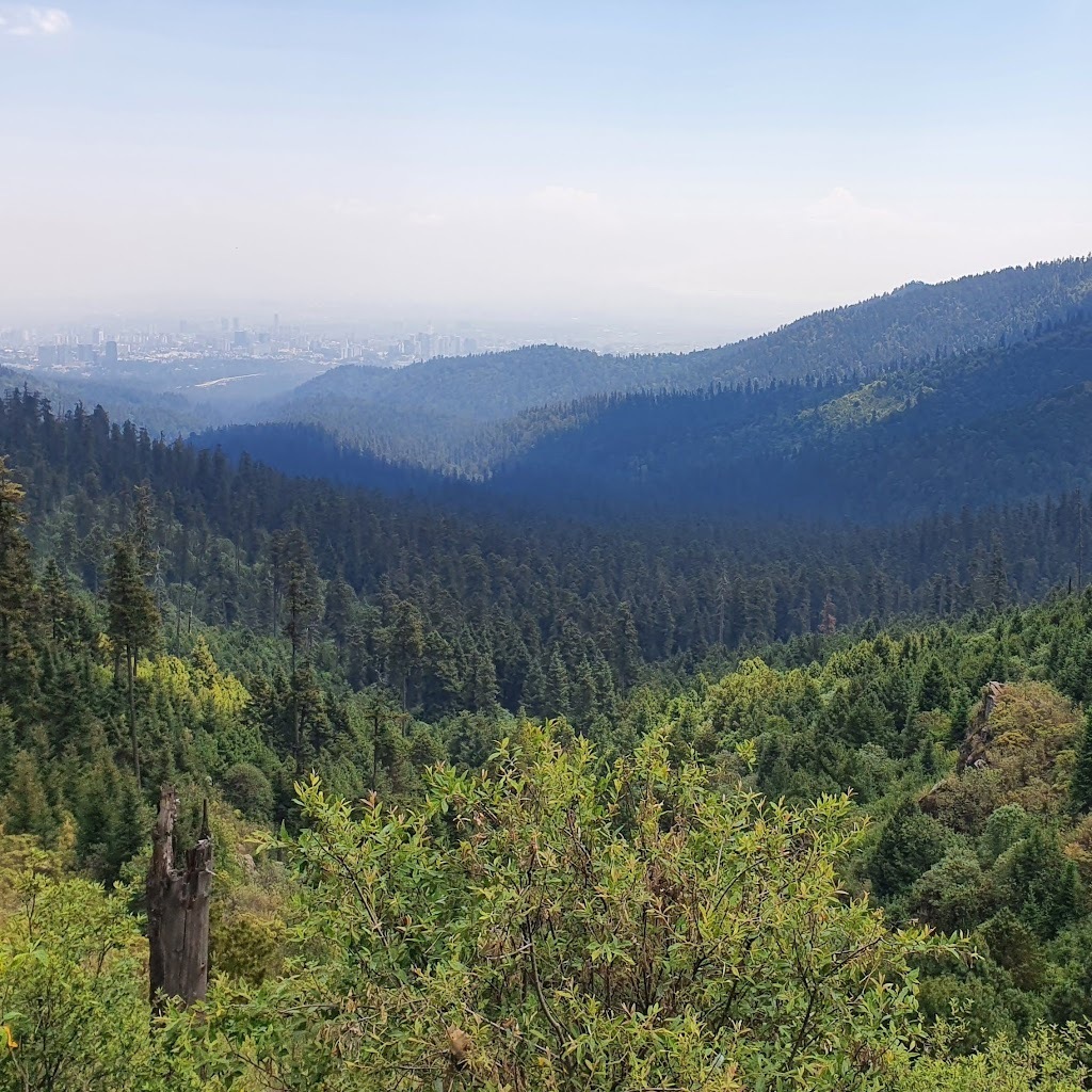 Avatar of Mauricio O.