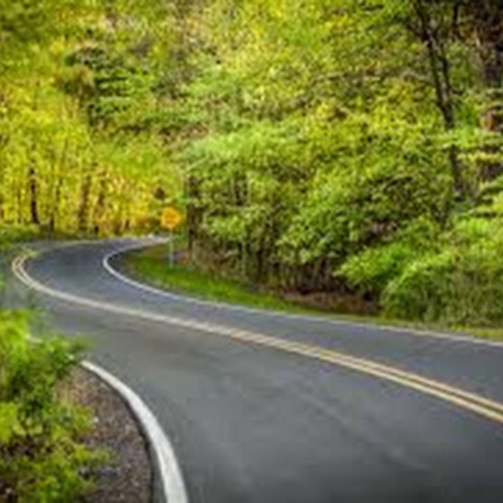 Avatar of Priyesh P.