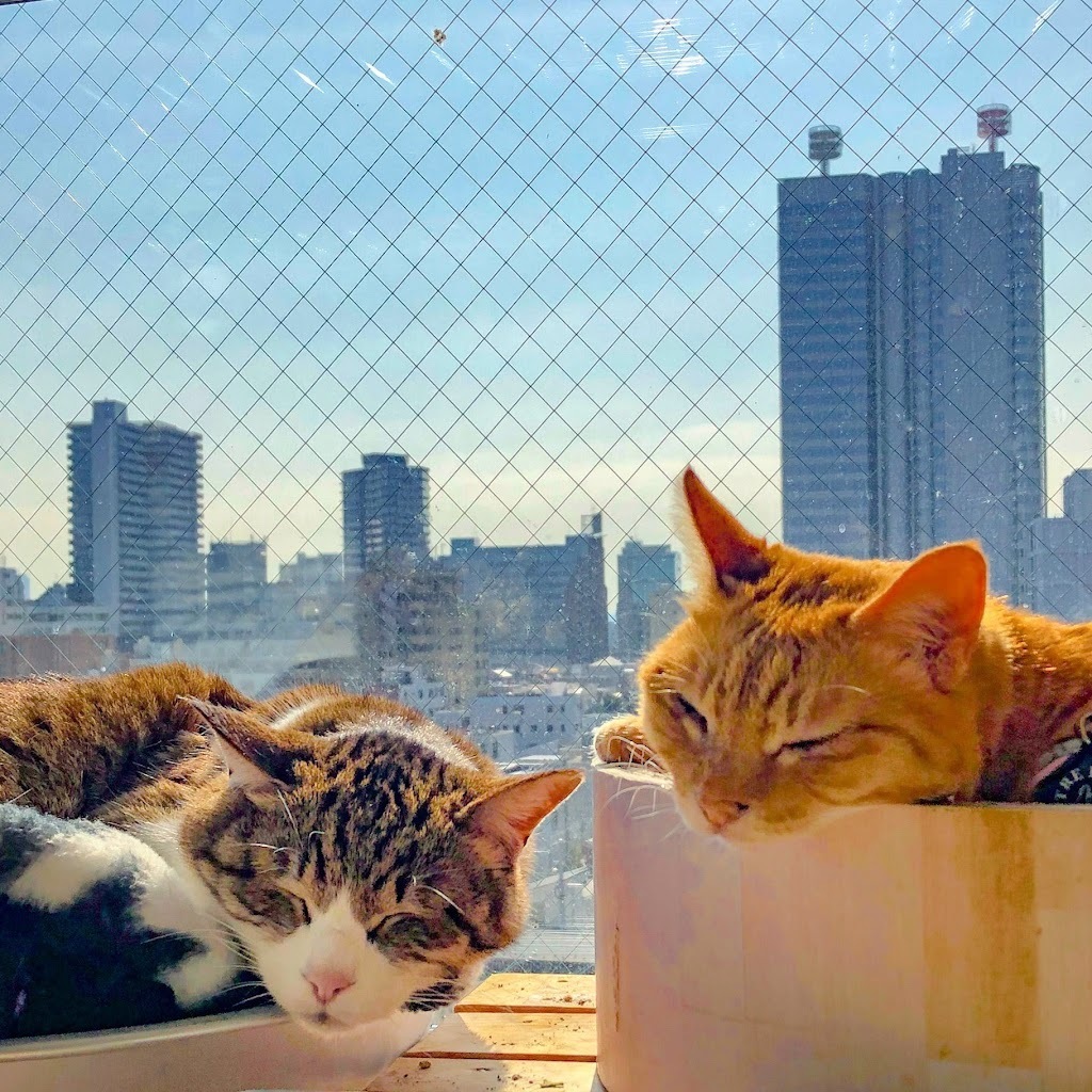 Avatar of Daisuke N.