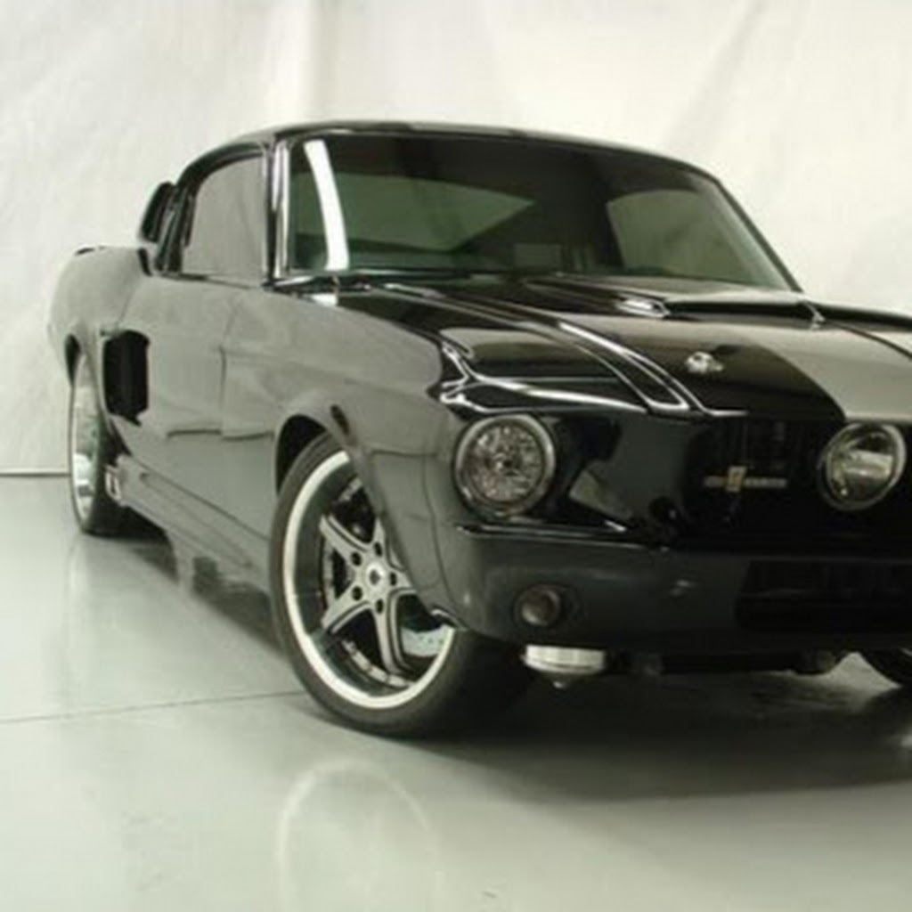 Avatar of Michele T.