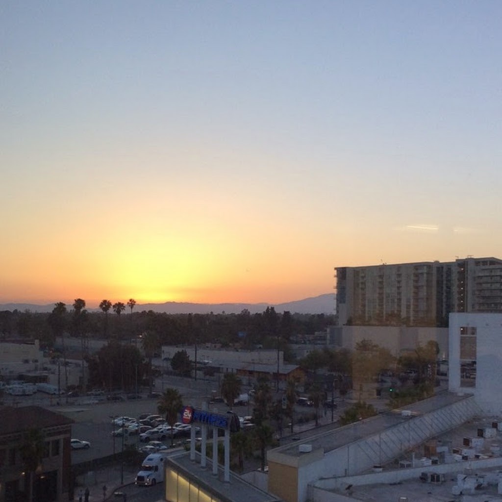 Avatar of Chenyang Z.