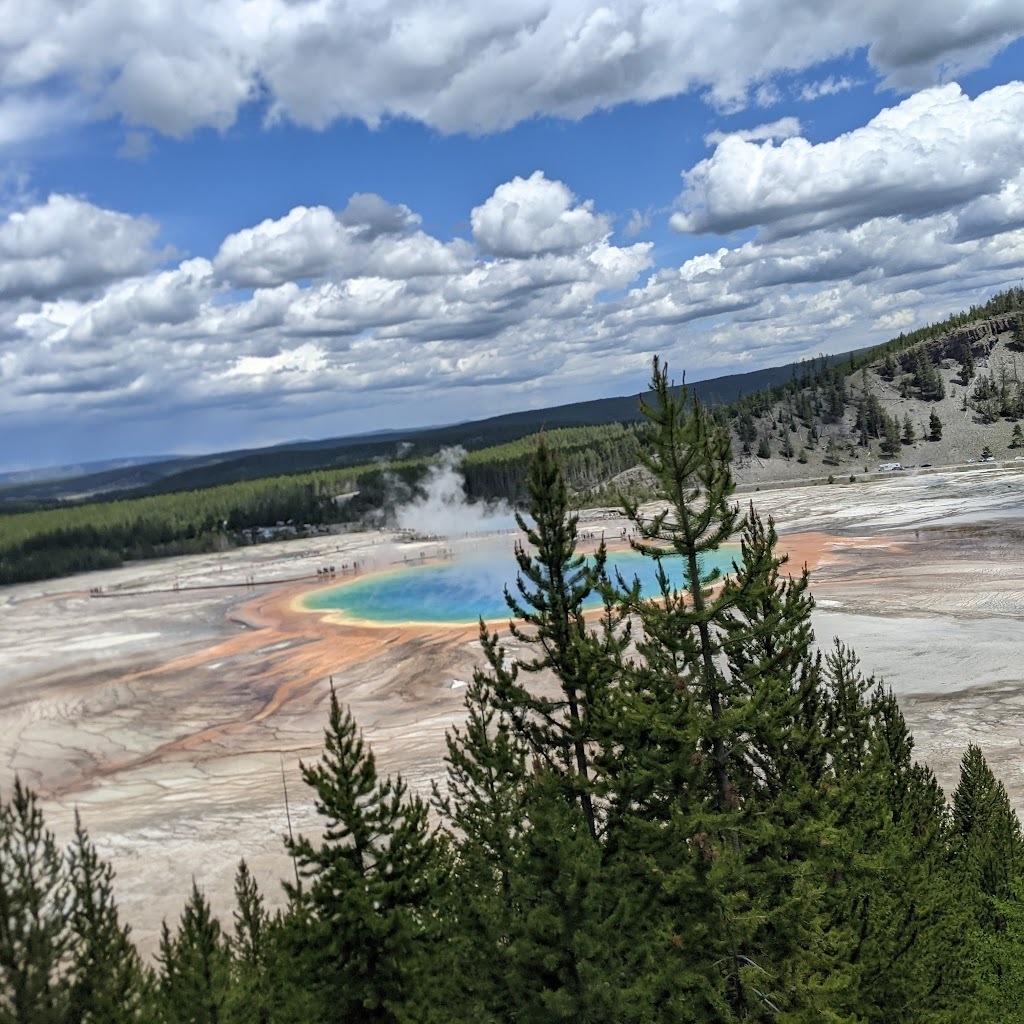 Avatar of Venkata C.