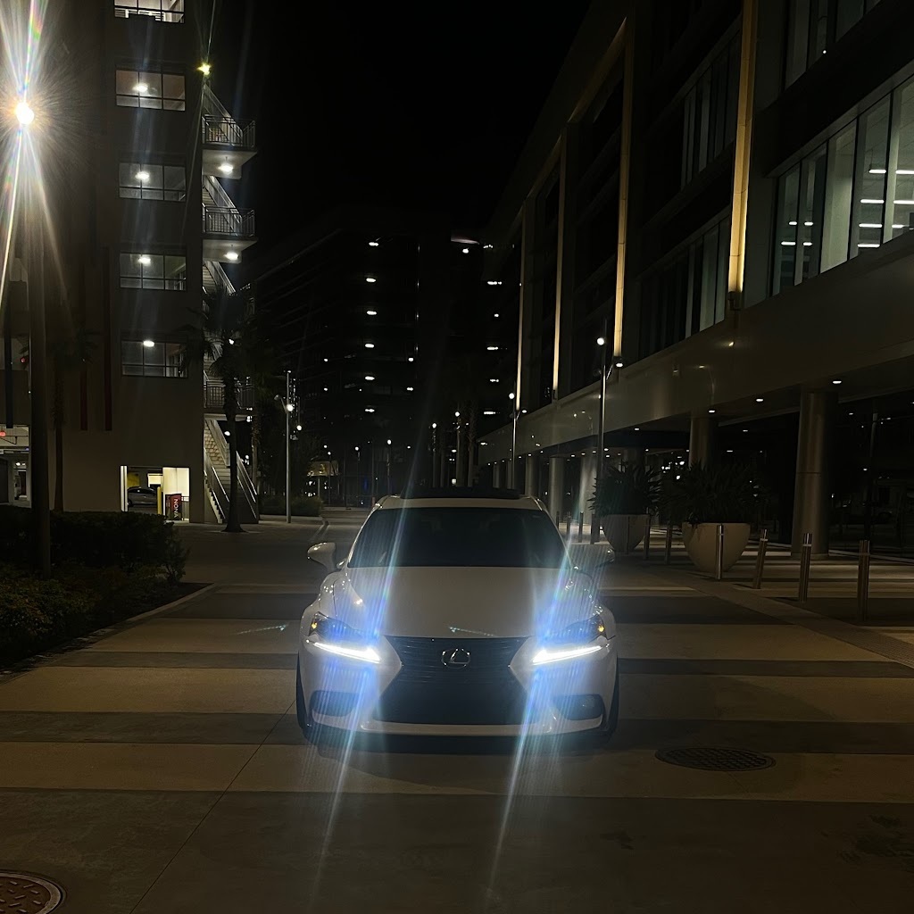 Avatar of Needlevanni