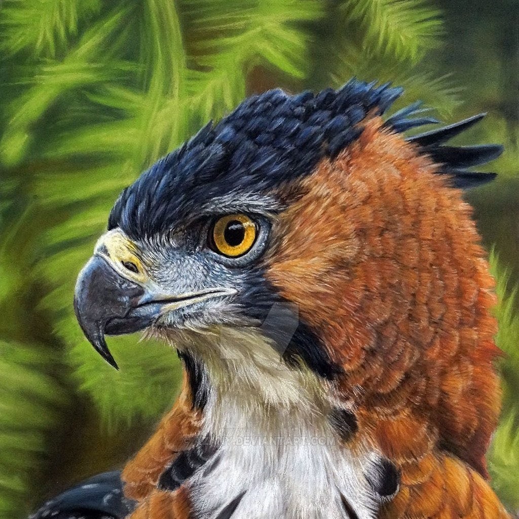 Avatar of Nikolay N.