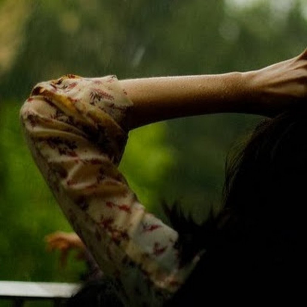 Avatar of Shubhra S.