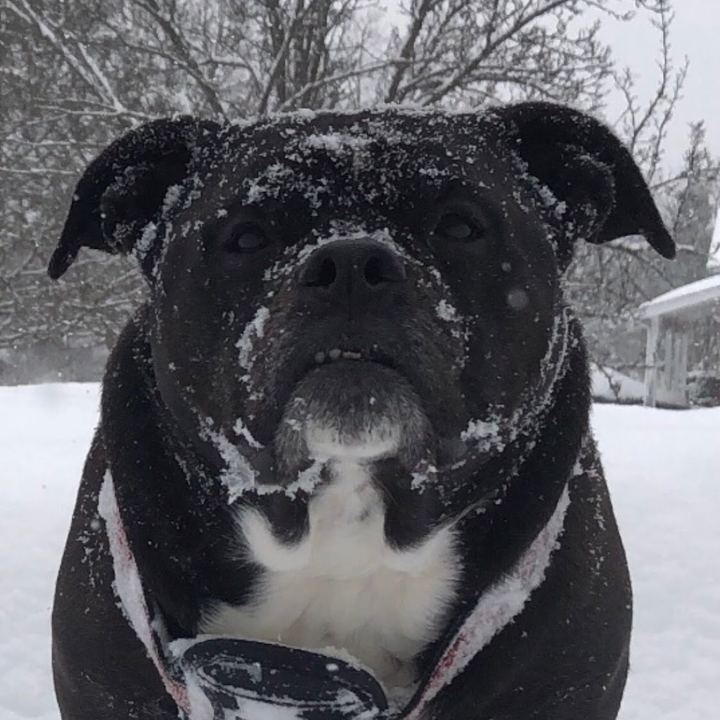 Avatar of Michael A.