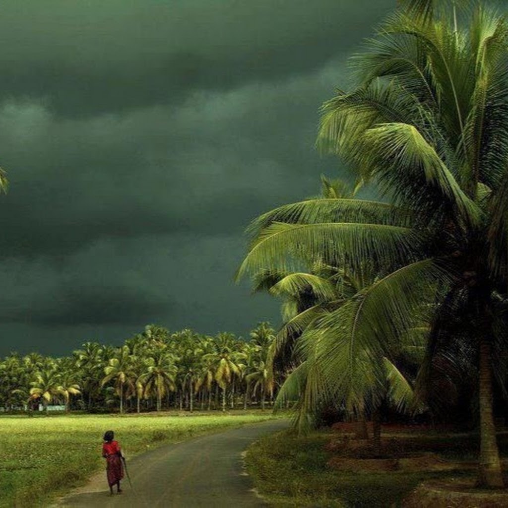 Avatar of Archisman P.