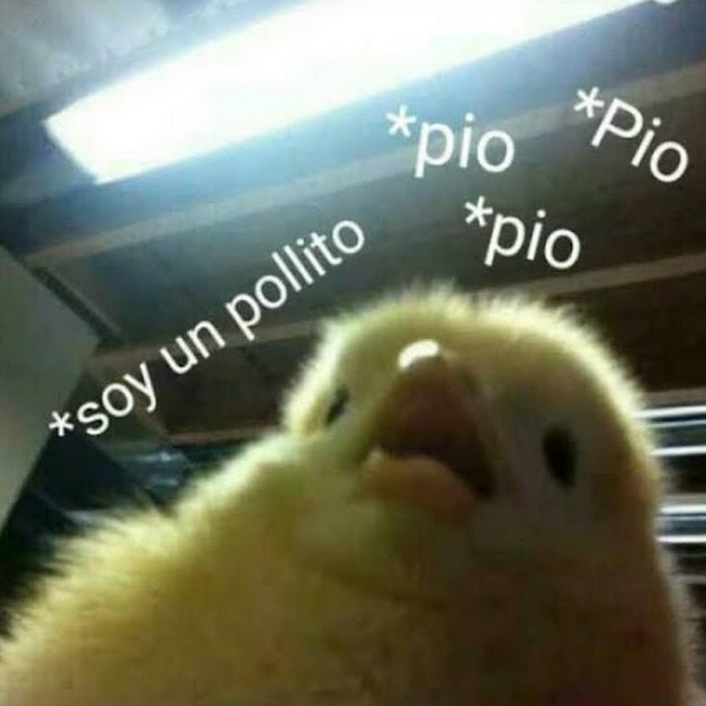 Avatar of gianella c.