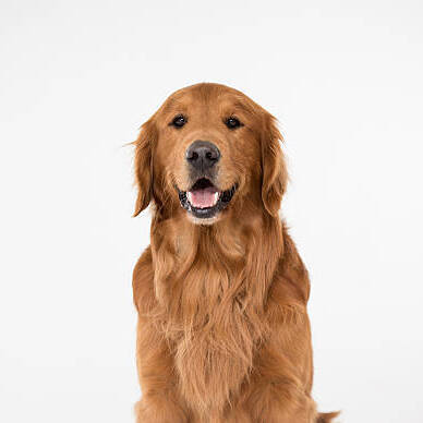 Avatar of Benedicta B.